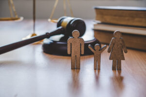 STANDARDS OF EVIDENCE IN FAMILY COURT ON CPS AND ACS CASES
